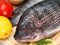 Test your knowledge - Animal quizzes