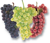 Test your knowledge - Fruit quizzes