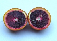 Test your knowledge - Fruit quizzes