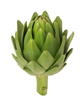 Test your knowledge - Vegetables quizzes